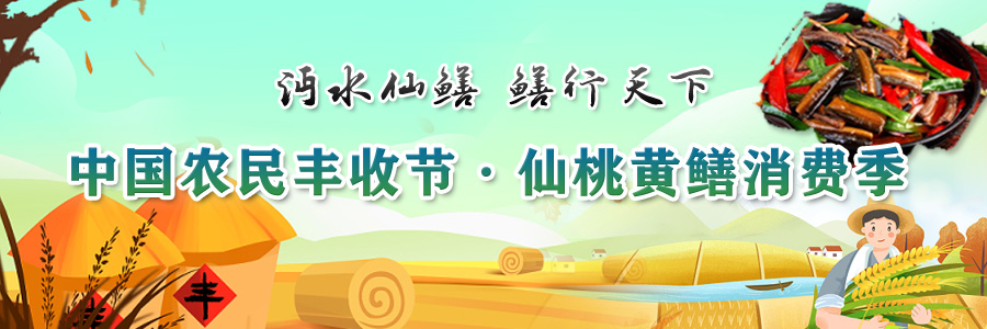 中國農民豐收節·仙桃黃鱔消費季